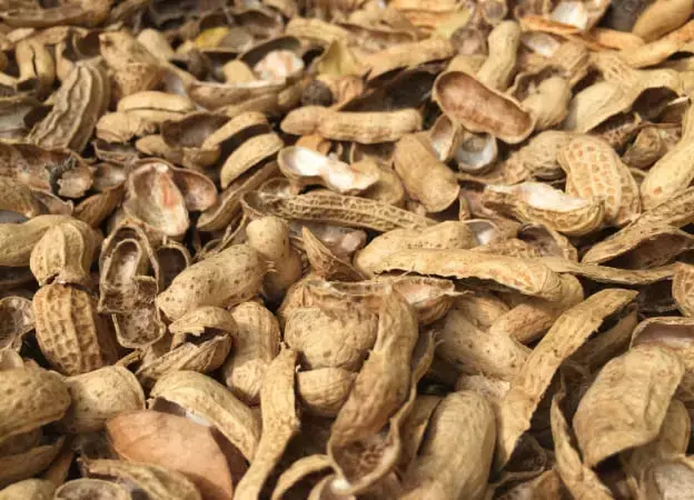 Groundnut Shell
