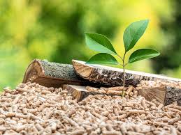 biomass fuel