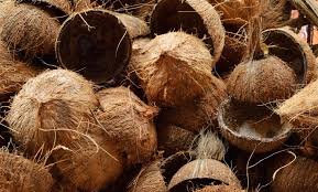 coconut shell