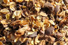coffee husk