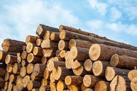 wood logs